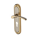 Heritage Brass Ambassador Door Handle on Plate