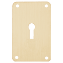 ASEC Screw On 45mm x 70mm UK Mortice Escutcheon