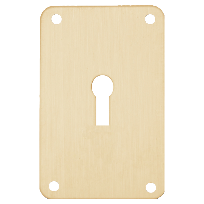 ASEC Screw On 45mm x 70mm UK Mortice Escutcheon