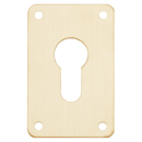 ASEC Screw On 45mm x 70mm Euro Escutcheon