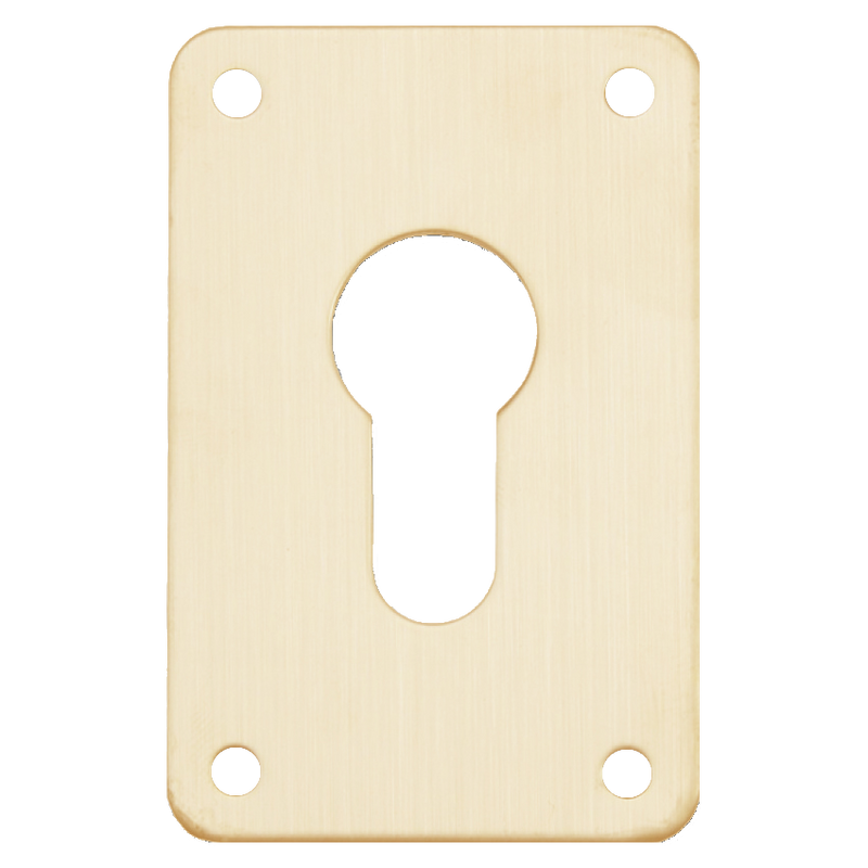ASEC Screw On 45mm x 70mm Euro Escutcheon