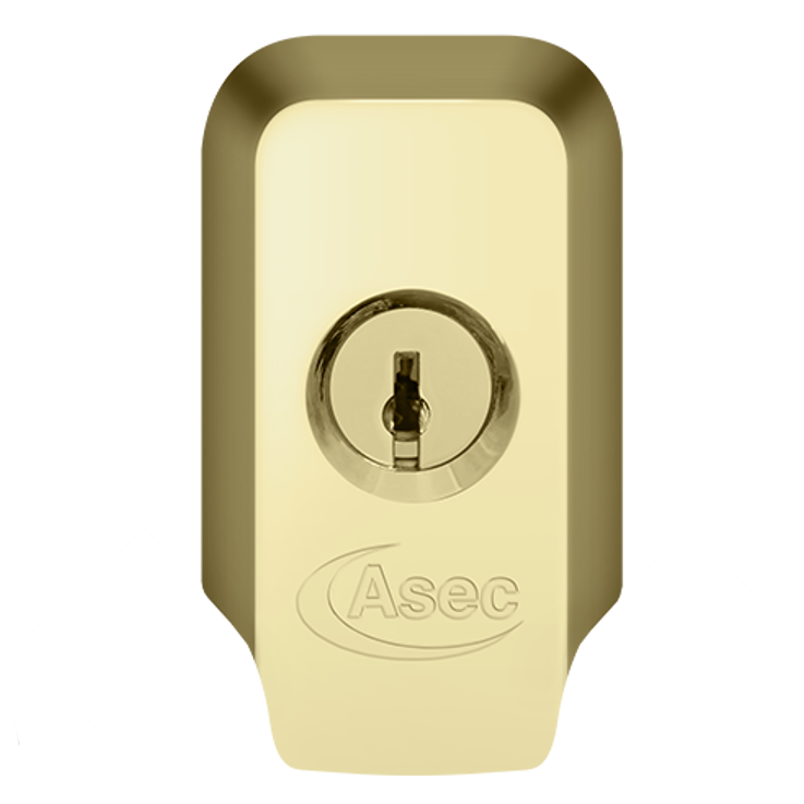 ASEC High Security Rim Cylinder Pull With Cylinder