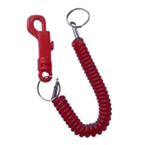 ASEC Spiral Key Ring