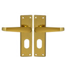 ASEC Victorian Plate Mounted Lever Furniture