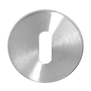 ASEC Stainless Steel Escutcheon