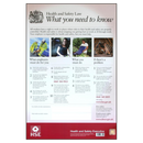 ASEC HSE01 Health & Safety Poster 800mm x 600mm PVC Sign