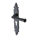 M.Marcus Black Iron Ludlow Door Handle on Plate