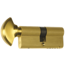 ERA 6 Pin Euro Key & Turn Cylinder