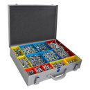 RAPIERSTAR UPVC Repair Screw Case Kit