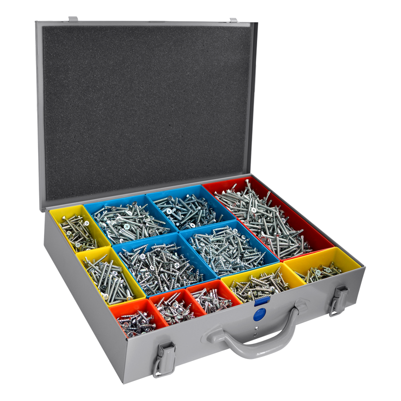 RAPIERSTAR UPVC Repair Screw Case Kit