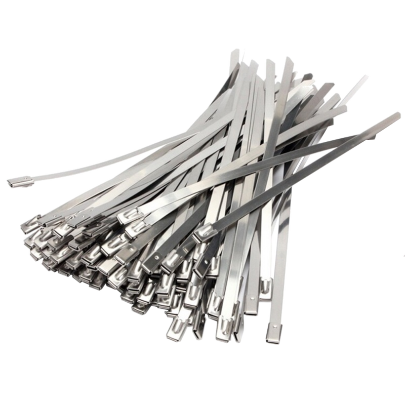 HAYDON MARKETING Stainless Steel Cable Ties 100 Pack