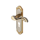 Heritage Brass Lisboa Door Handle on Plate