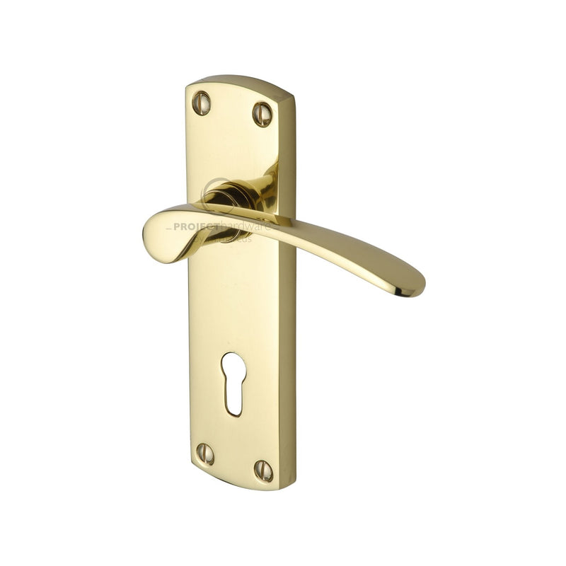 Project Hardware Luca Door Handle on Plate