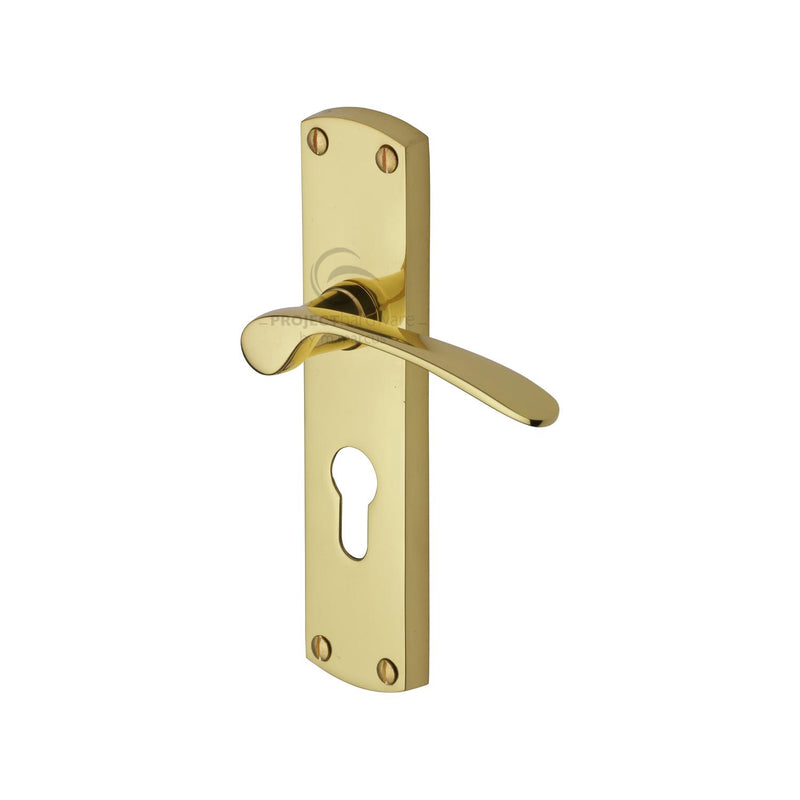 Project Hardware Luca Door Handle on Plate