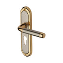 Heritage Brass Saturn Door Handle on Plate