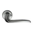 Sorrento Capri Door Handle on Round Rose