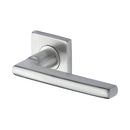 Steel Line Apollo Door Handle on Square Rose