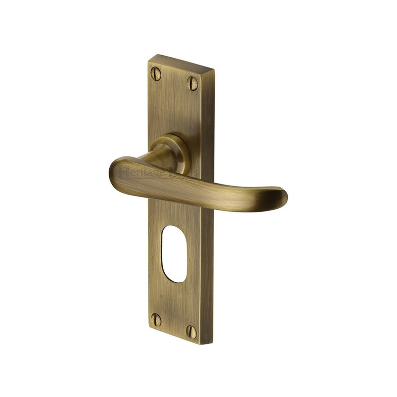 Heritage Brass Windsor Door Handle on Plate