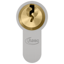 ASEC Vital 6 Pin Double Euro Dual Finish Snap Resistant Cylinder