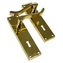 ASEC Vital Victorian Plate Mounted Scroll Lever Furniture