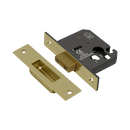 ASEC Vital Mortice Euro Deadcase