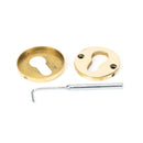 From The Anvil Regency Concealed Euro Profile Escutcheon - 52mm - Aged Brass