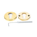 From The Anvil Regency Concealed Euro Profile Escutcheon - 52mm - Aged Brass