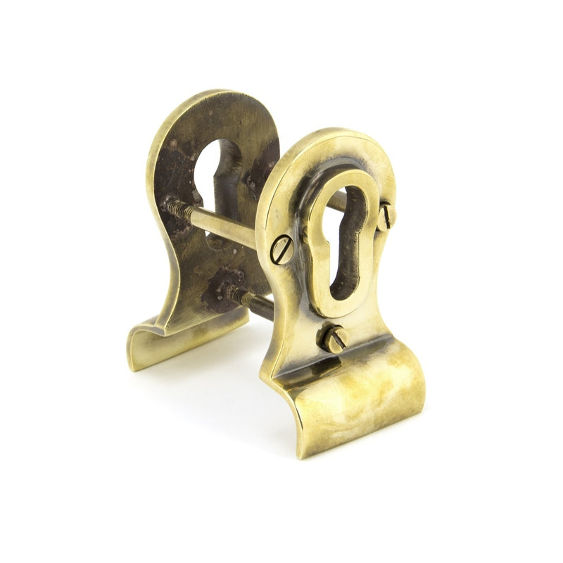 From The Anvil Period Euro Door Pull Back To Back - Aged Brass
