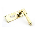 From The Anvil Avon Euro Handles - Aged Brass