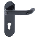 Hoppe Paris 21mmØ Return to Door Nylon Lever Handles on Euro Plate (72mm centres) - Ebony Black RAL9017